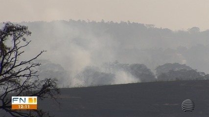 População do Oeste Paulista sofre com as constantes queimadas População do Oeste Paulista sofre com as constantes queimadas