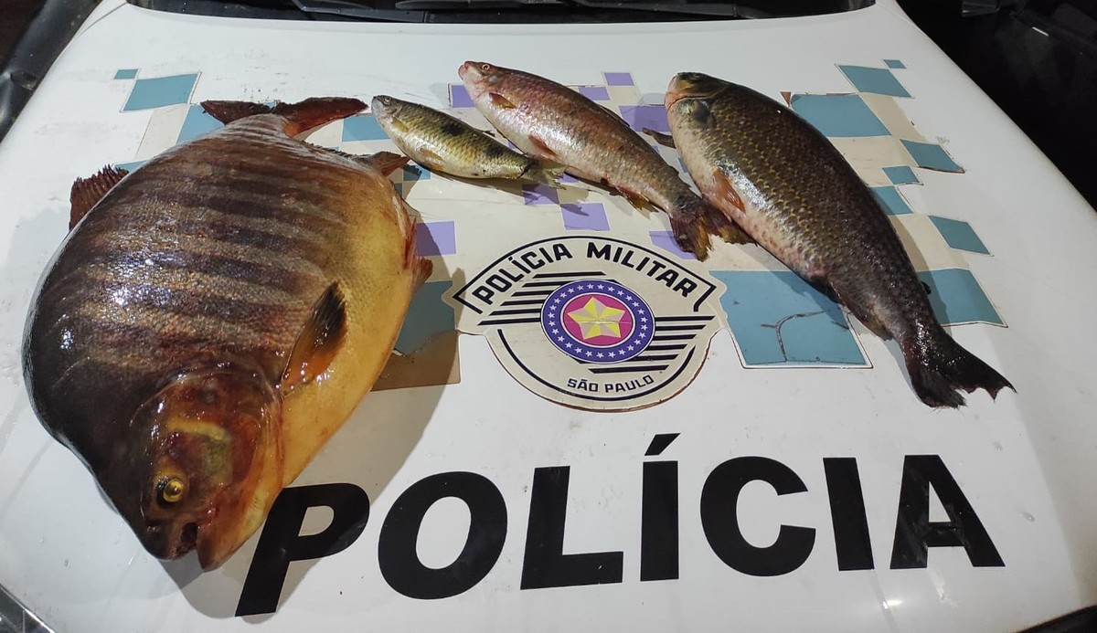 Pescador profissional é autuado em mais de R$ 1,4 mil por pesca proibida durante a piracema, em Paulicéia