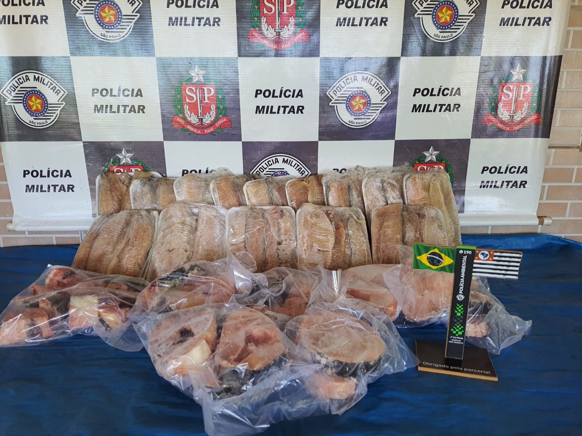 Pescadora é multada em R$ 1,4 mil por irregularidade no armazenamento de pescado, em Rosana