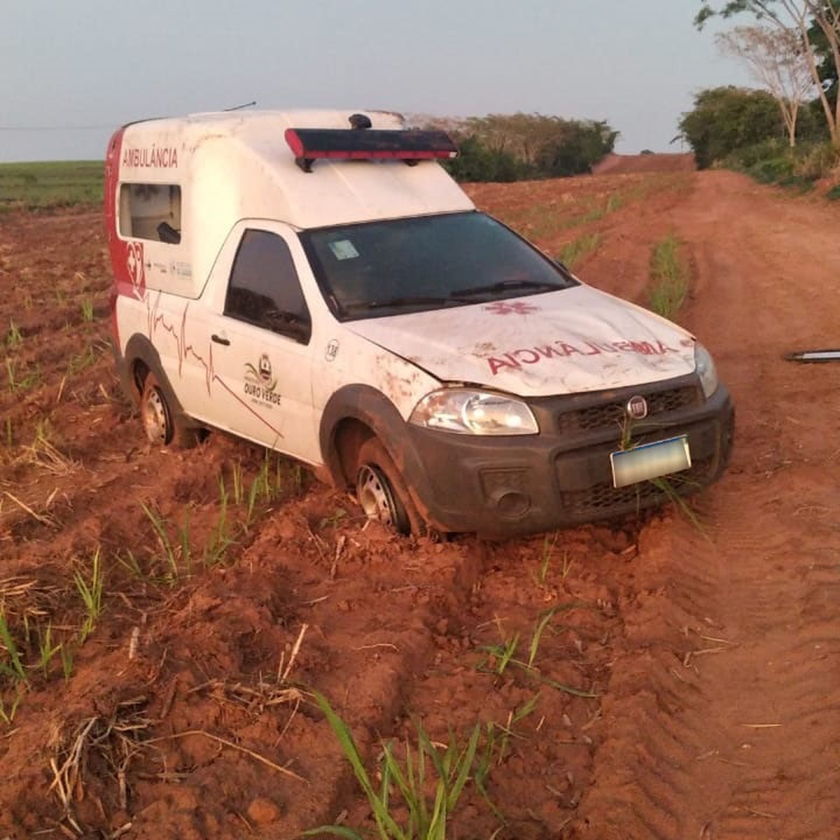 Ambulância tenta desviar de cavalo e capota na Rodovia Engenheiro Byron de Azevedo Nogueira, em Ouro Verde