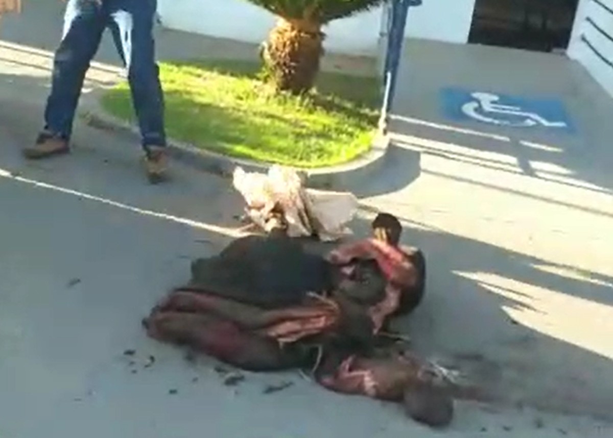 Polícia Civil investiga abate e furto de gado de propriedades rurais em Tarabai