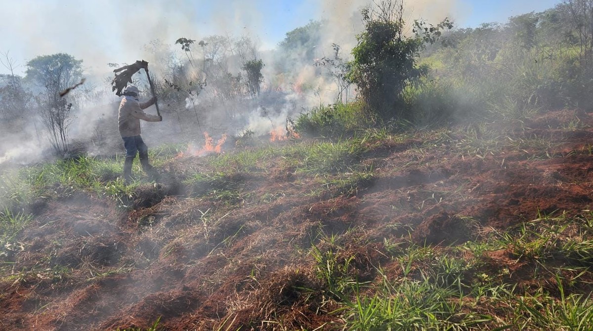 Polícia Civil investiga suposto incêndio criminoso em reserva legal da Apoena, em Presidente Epitácio