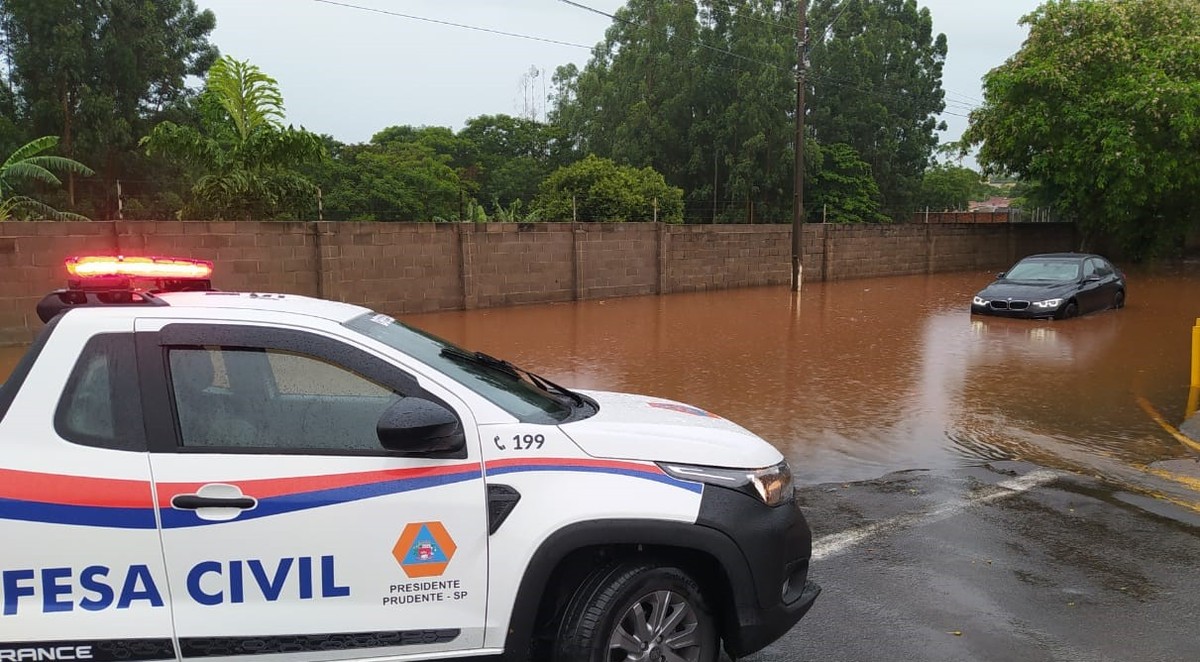 Defesa Civil registra pontos de alagamentos e quedas de árvores após fortes chuvas em Presidente Prudente
