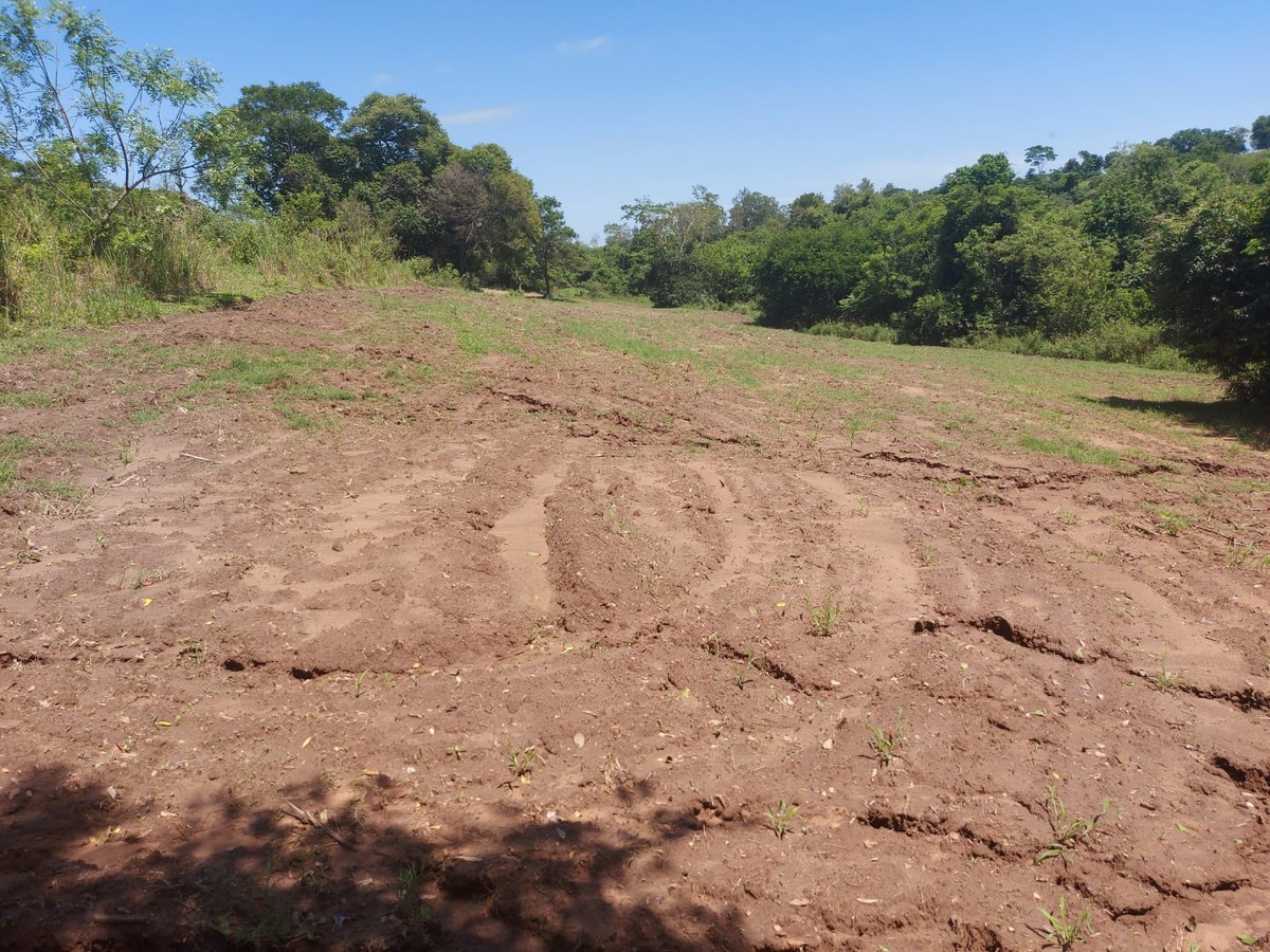 Sitiante é multado em R$ 10 mil após descumprir embargo de área ambiental sem autorização, em Anhumas