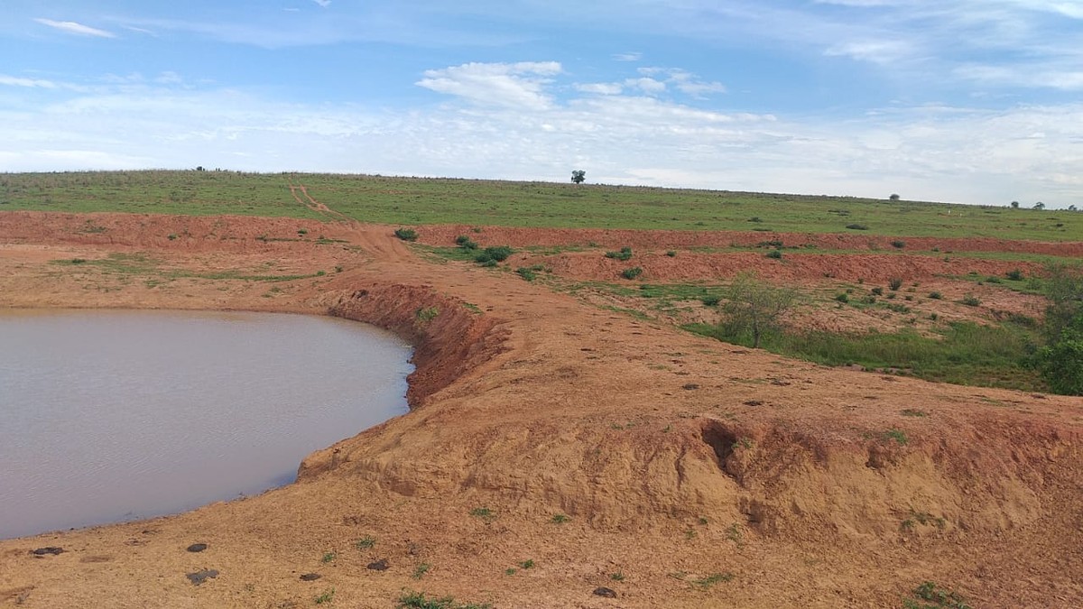 Arrendatário é multado em R$ 4,4 mil por degradação de Área de Preservação Permanente em Flora Rica