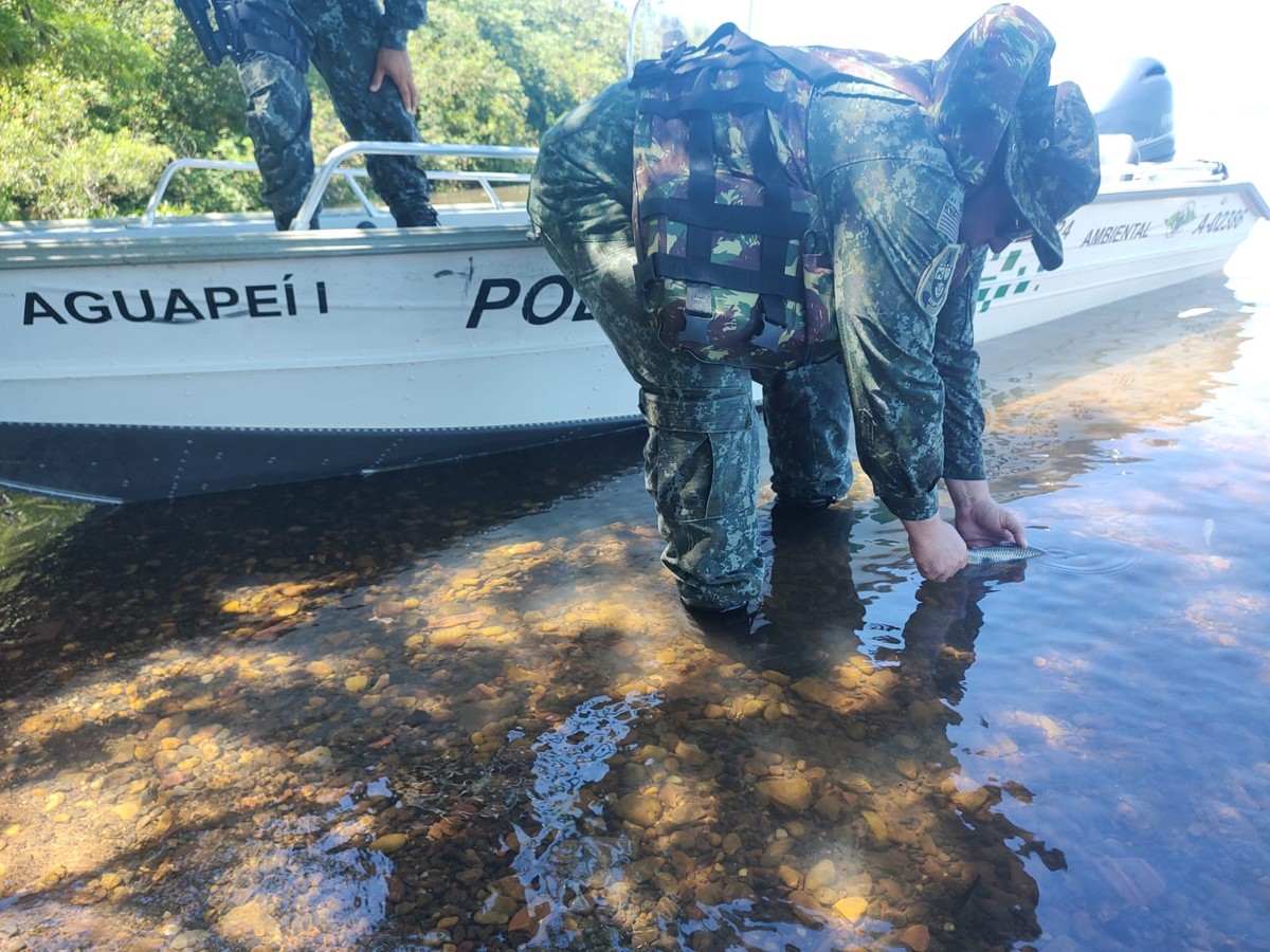 Pesca predatória no Rio Paraná rende multa de R$ 1 mil a homem que ainda responderá por crime ambiental