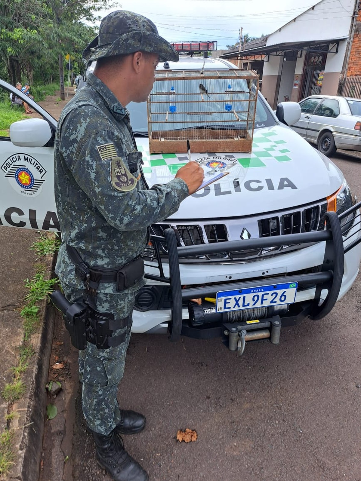 Morador do Jardim Primavera, em Presidente Prudente, leva multa de R$ 1 mil por manter aves silvestres em cativeiro