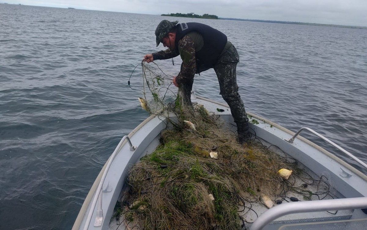 Polícia Ambiental apreende 500 metros de rede de pesca no Rio Paraná, em Panorama