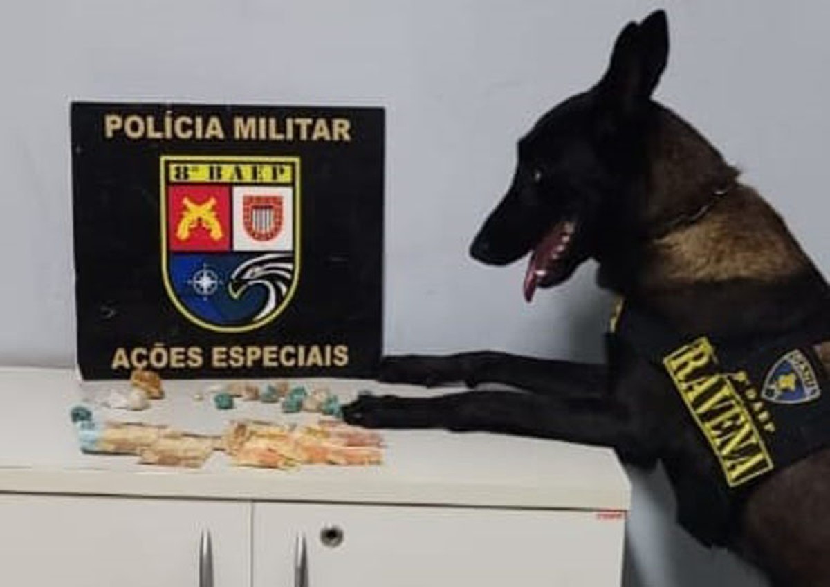 Cão farejador encontra pedras de crack escondidas dentro de ventilador e mulher acaba presa por tráfico em Presidente Prudente