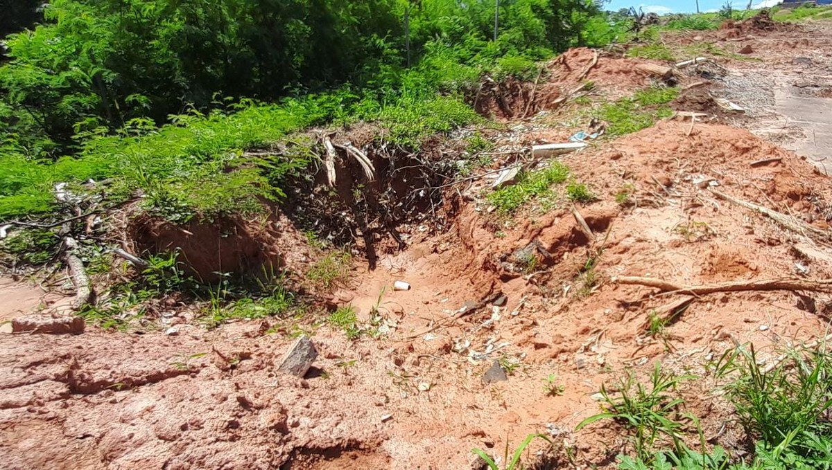 Empresa é autuada em R$ 8,5 mil por cortar 23 árvores nativas em Área de Preservação Permanente e comum, em Presidente Prudente