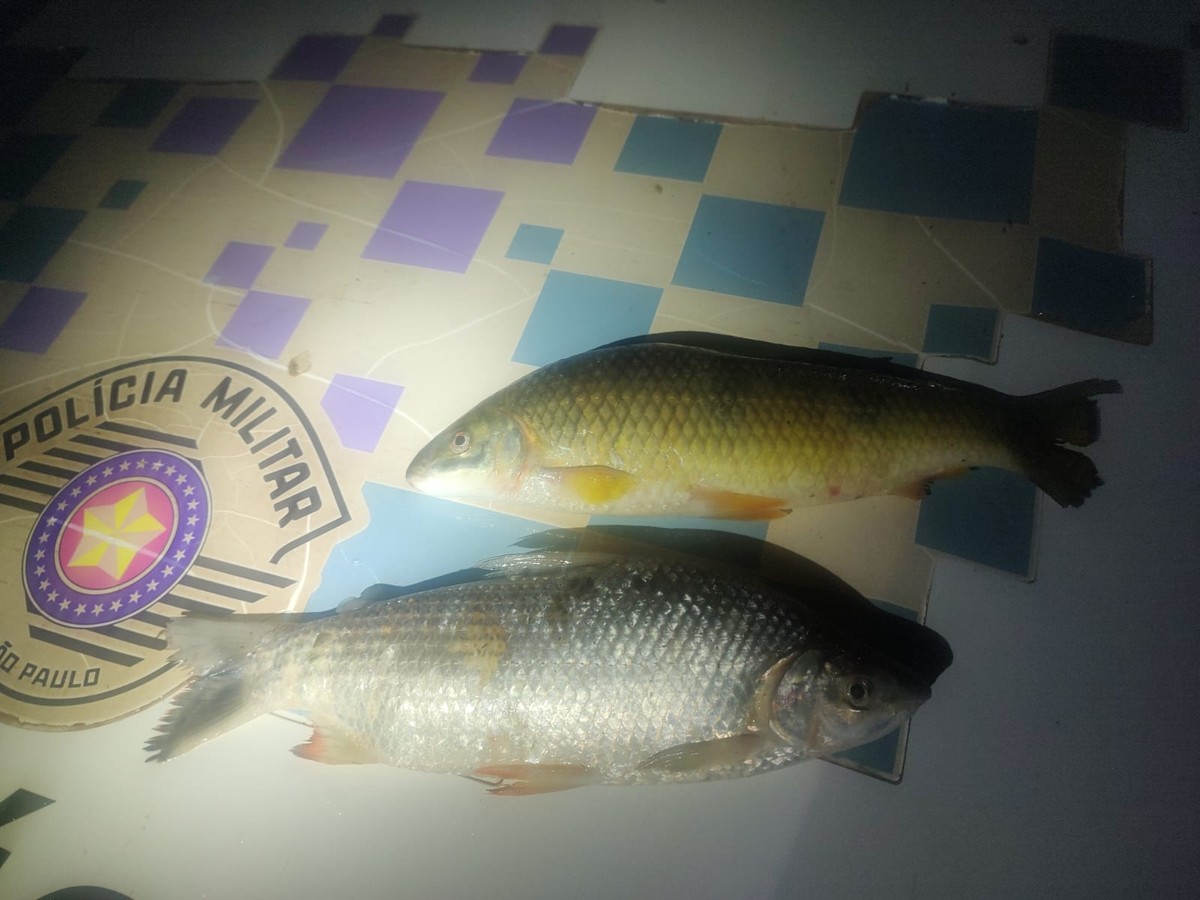 Fiscalização intercepta pesca predatória no Rio Aguapeí e autua dois homens por infração ambiental durante a piracema