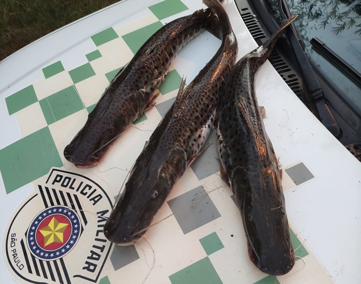Com 6,5 kg de peixes, dois homens são multados em R$ 4,5 mil por pesca predatória, em Lucélia