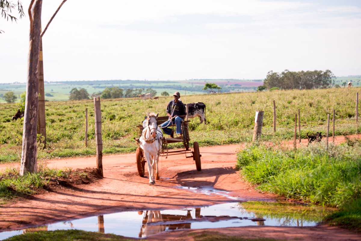 Exposição fotográfica ‘Paisagem do Interior’ mostra o cotidiano de assentados rurais da reforma agrária em Mirante do Paranapanema