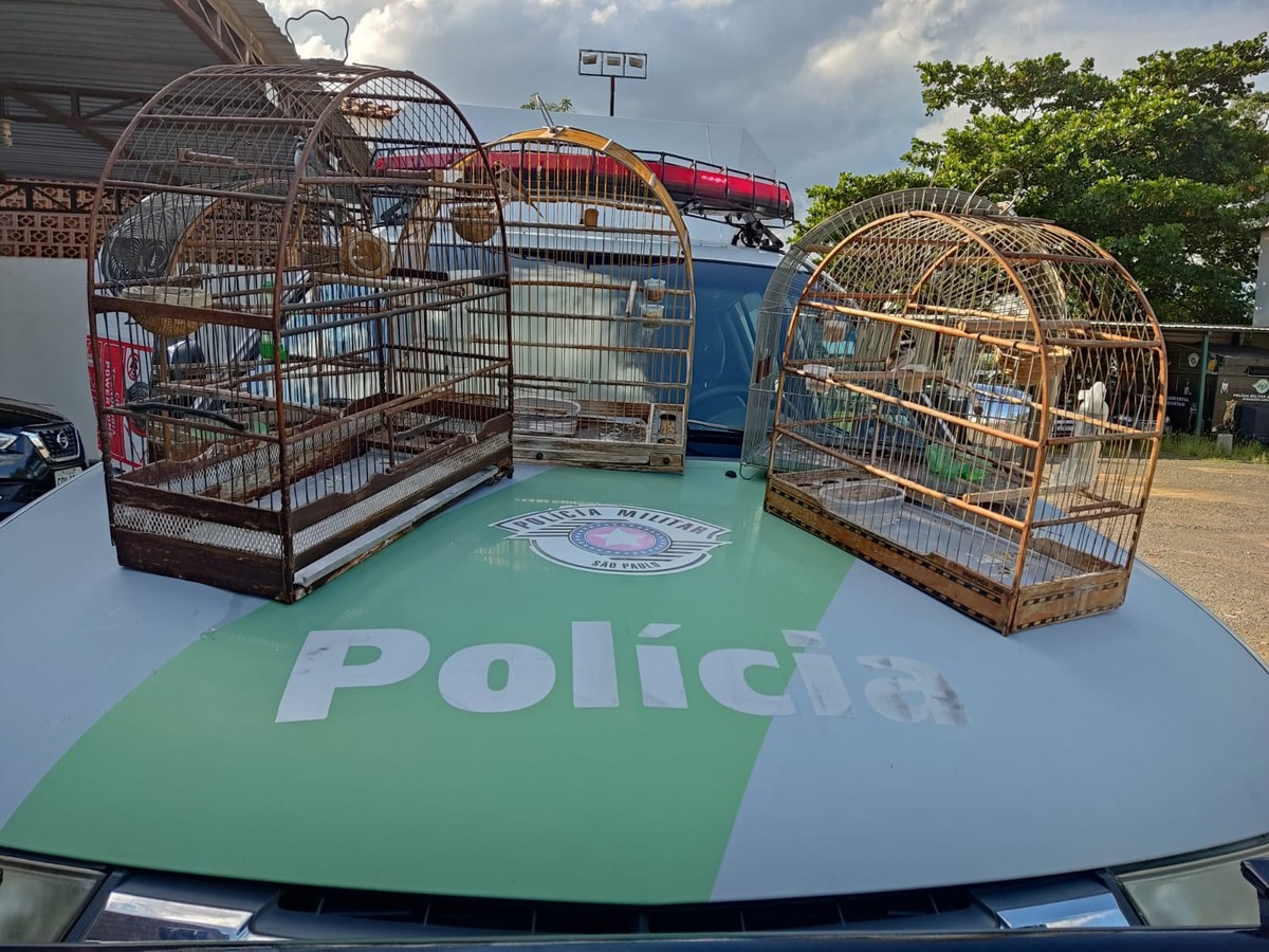 Homem é autuado em R$ 2,5 mil por manter cinco aves em cativeiro, em Presidente Prudente