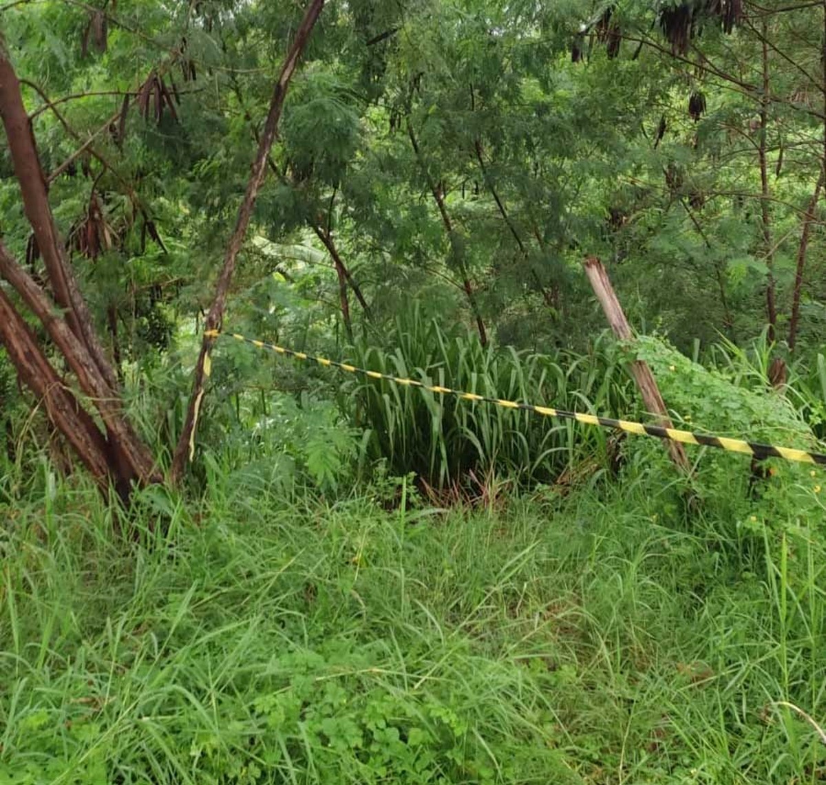 Polícia Civil avança nas investigações sobre morte de homem encontrado sem vida nos fundos de residência em Euclides da Cunha Paulista