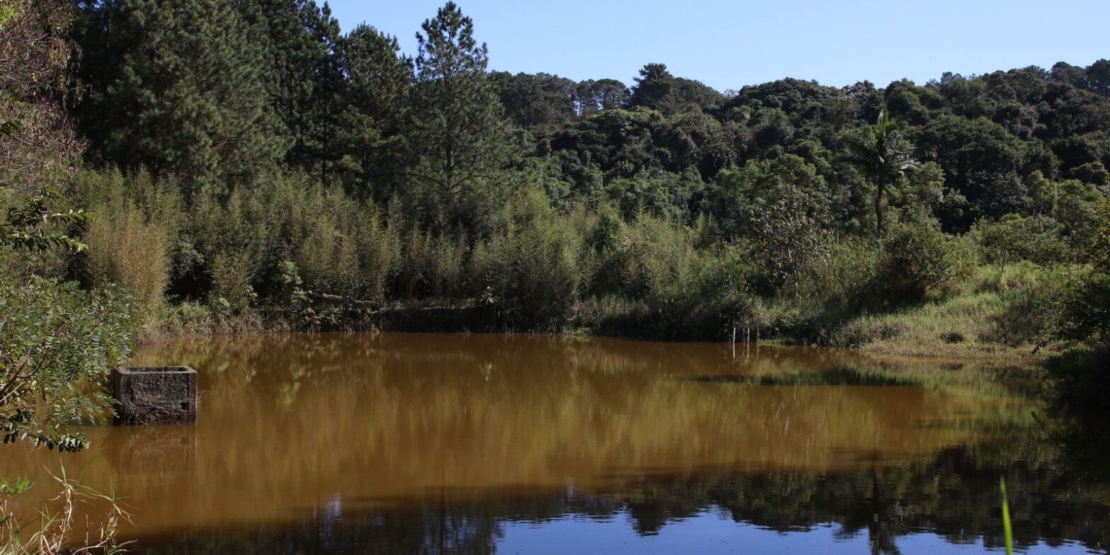Brasil ganha 1,7 milhão de hectares de superfície de água em 2022