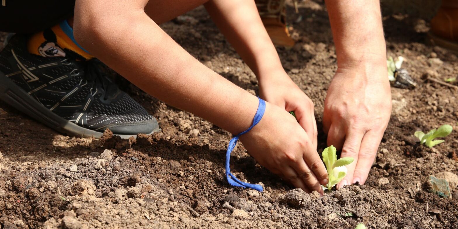 Curso orienta educadores sobre como levar a natureza para as escolas
