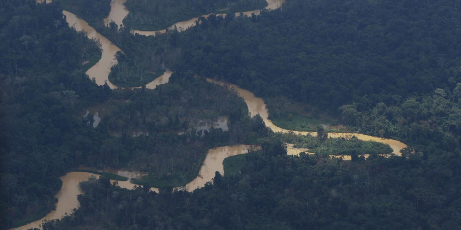 Governo do Pará assina decreto para combater garimpo e desmatamento