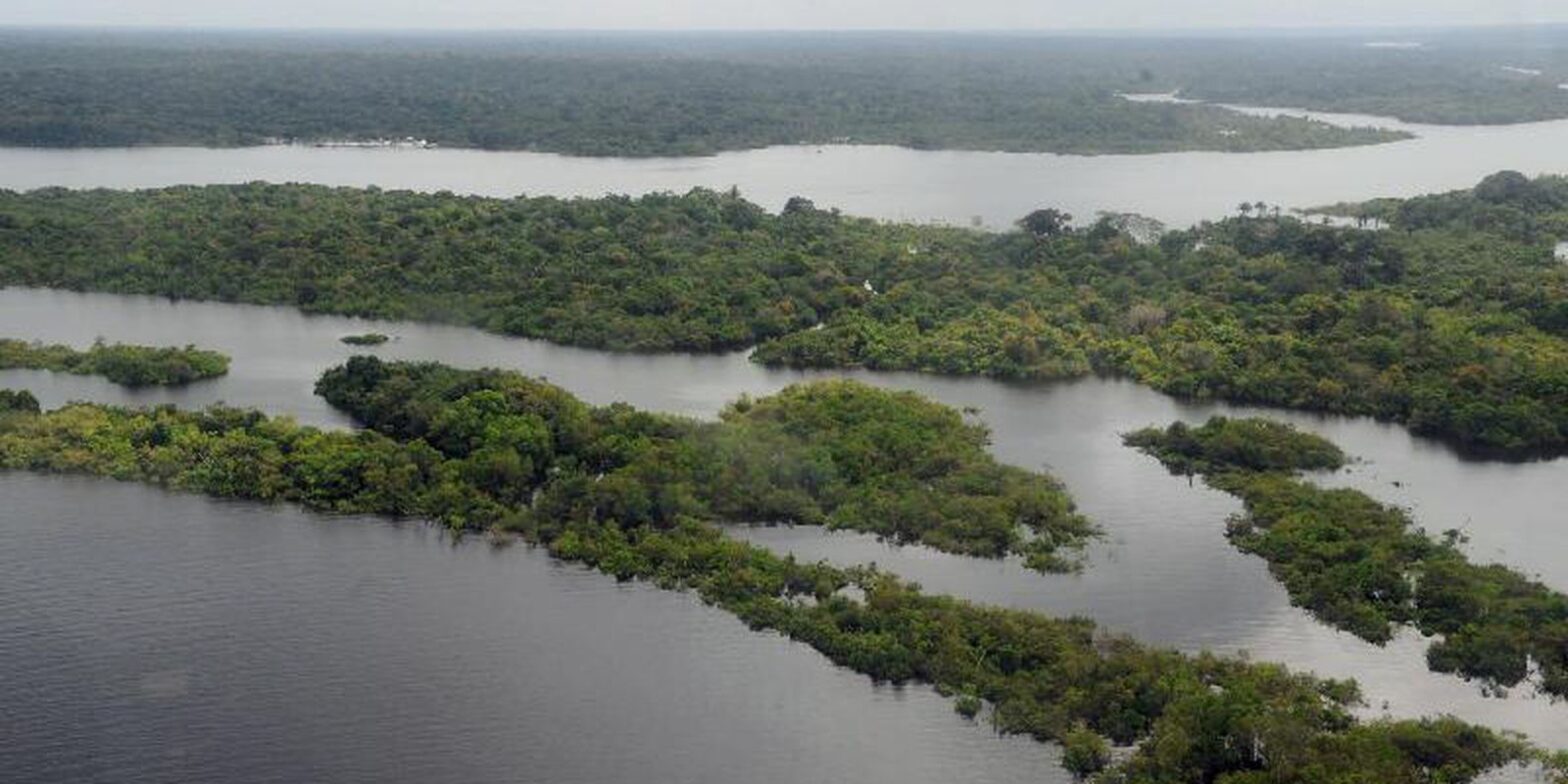 Brasileiro tem sentimento de vulnerabilidade ecológica e climática