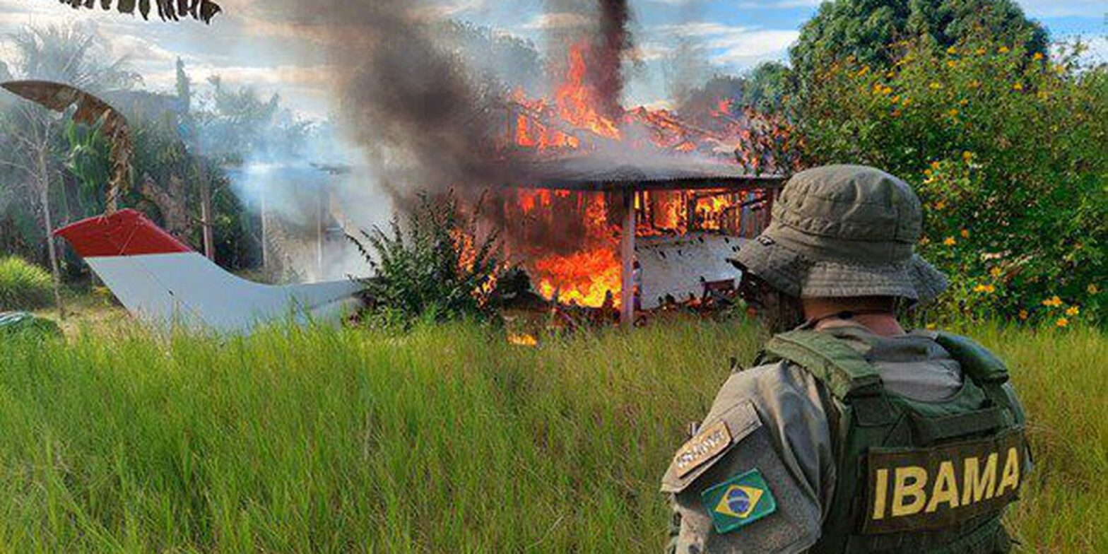 STF rejeita lei de Roraima que proíbe destruição bens apreendidos