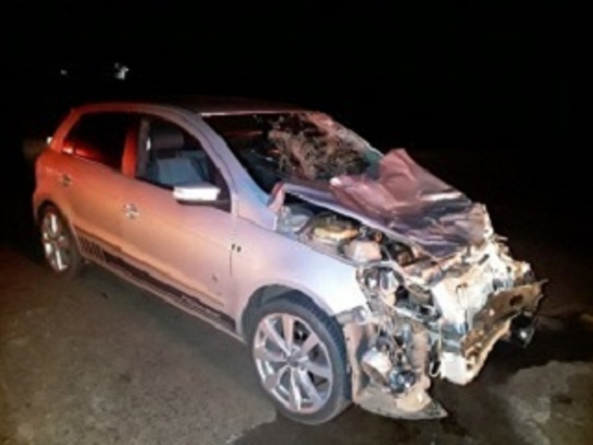 Carro fica destruído ao se envolver em atropelamento de bovinos na Rodovia Engenheiro Byron de Azevedo Nogueira, em Dracena