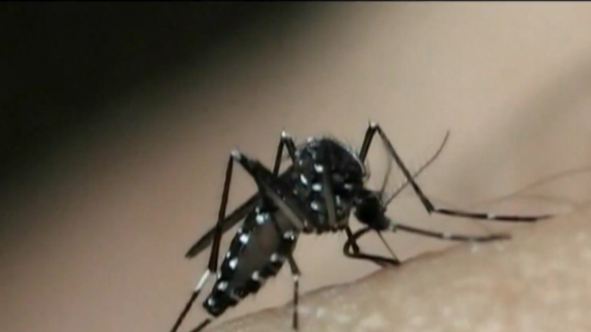 Em uma semana, segunda morte causada pela dengue é confirmada em Osvaldo Cruz