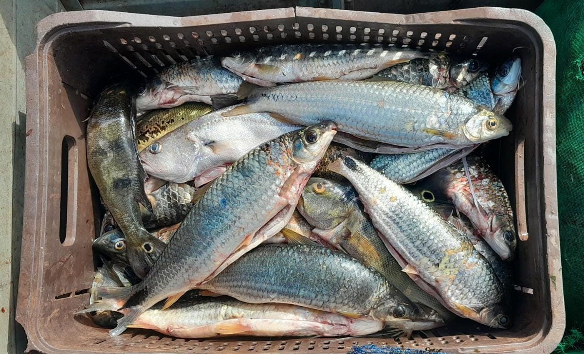 Fiscalização intercepta pescadores em atividade irregular no lago da usina de Taquaruçu, no Rio Paranapanema