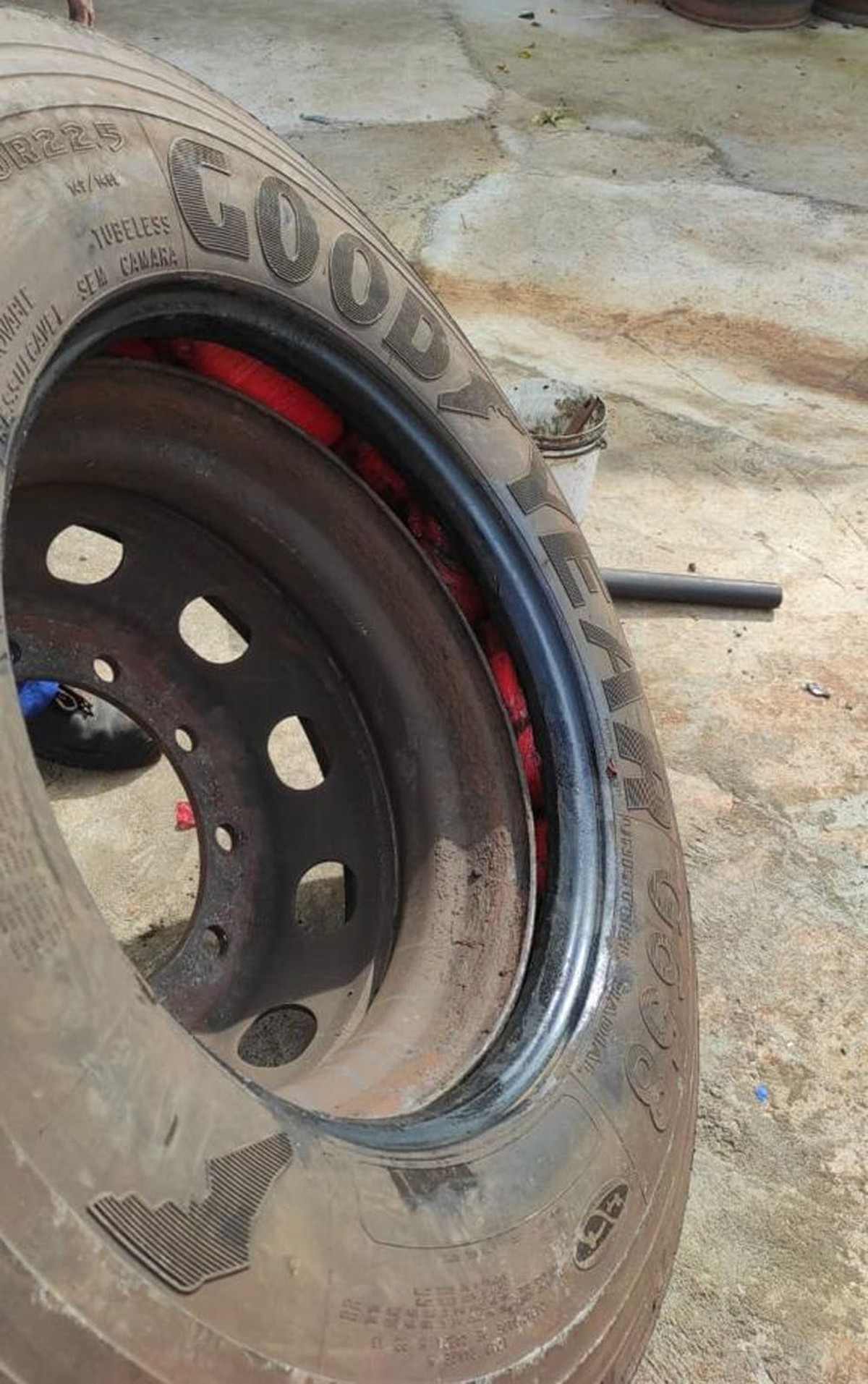 Cães farejadores encontram 50 quilos de maconha escondidos dentro de pneus de caminhão e motorista acaba preso em flagrante