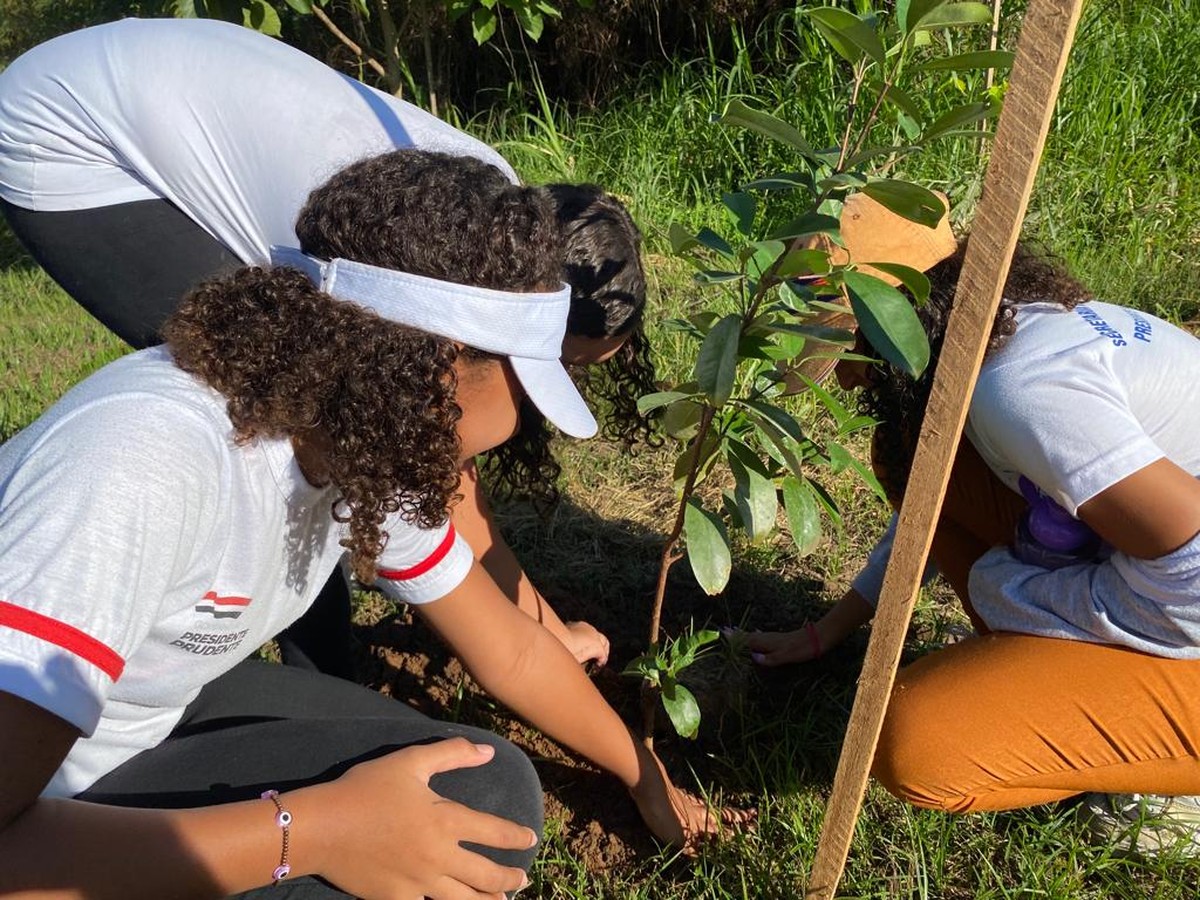 No Dia Mundial da Água, estudantes plantam mais de 20 mudas de árvores no Córrego da Colônia Mineira, em Presidente Prudente
