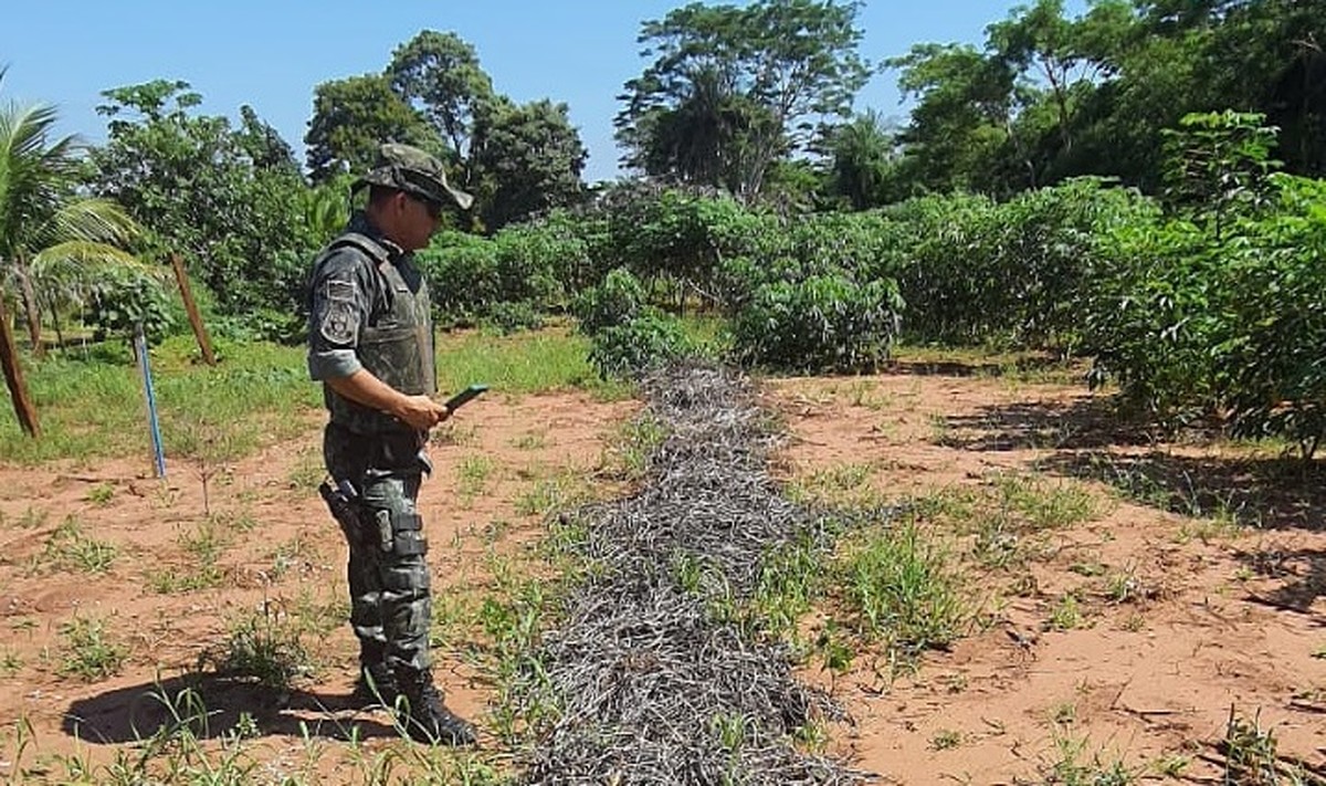 Homem é multado em R$ 10 mil por descumprir embargo de atividade degradadora, em Rosana