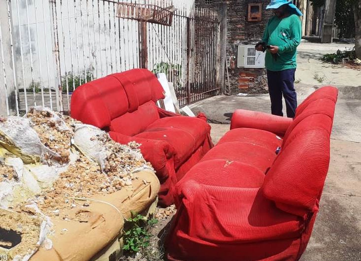 Mutirão de limpeza cata-treco passa por oito bairros de Presidente Prudente neste sábado; VEJA LOCAIS