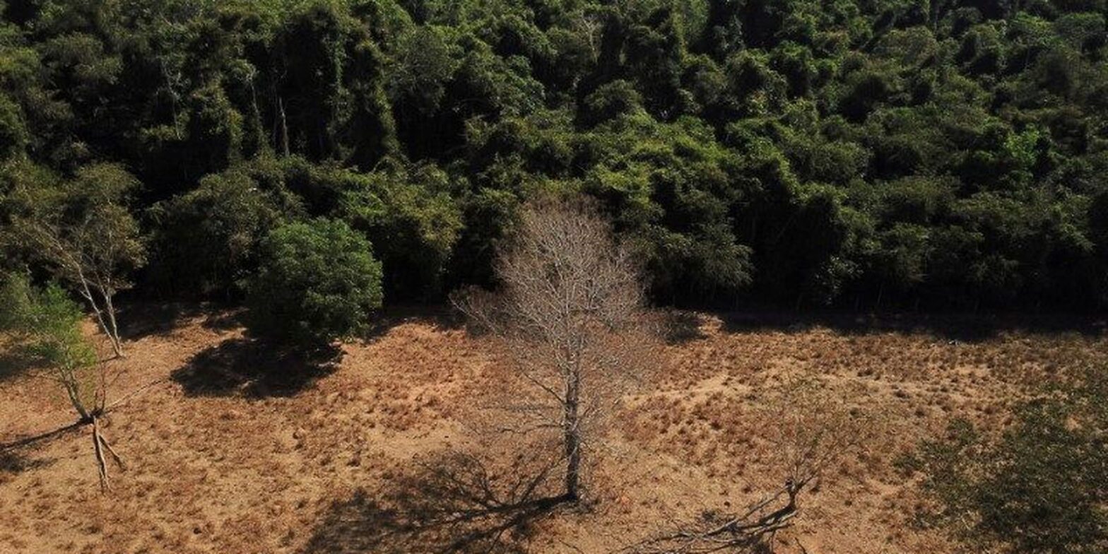 Brasil registra alta na emissão de gases de efeito estufa