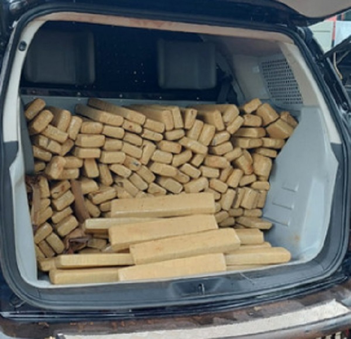 Após abandonar veículo com 163 kg de maconha em canavial, dupla é presa por tráfico de drogas em Presidente Epitácio