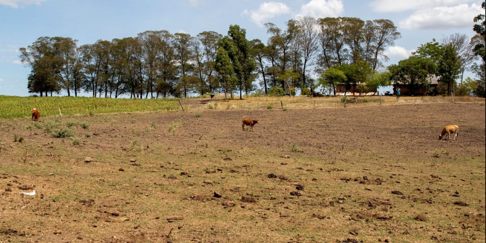 Cidades gaúchas vão receber mais R$ 701 mil para combater seca