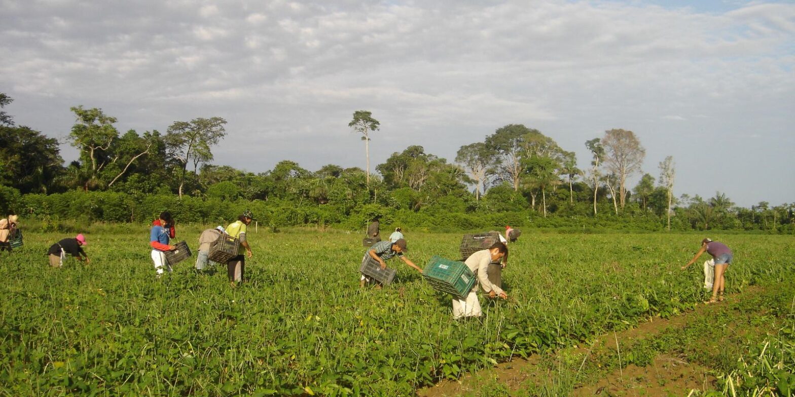 PAA: agricultores contam como melhoraram a renda e combateram a fome
