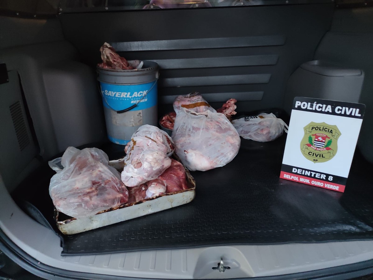 Suspeitos de furto e abate de bovino são identificados em Ouro Verde e parte da carne é recuperada