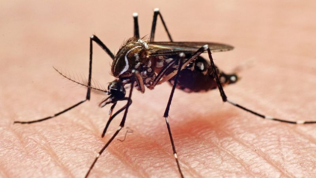 Presidente Prudente registra 14ª morte por dengue e está entre as três cidades com maior número de notificações do país