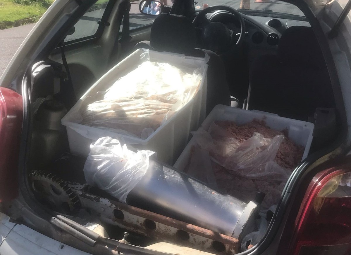 Cerca de 130 quilos de carne que seriam destinados ao consumo são apreendidos por irregularidades em Presidente Prudente