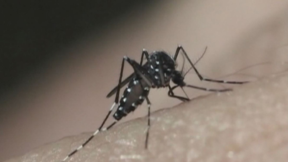 Presidente Prudente confirma 11 mortes por dengue neste ano