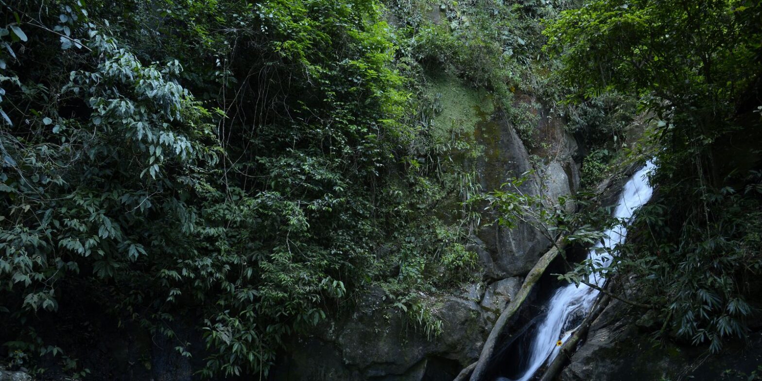 Prospecção contribui para aumento de trilhas na Mata Atlântica
