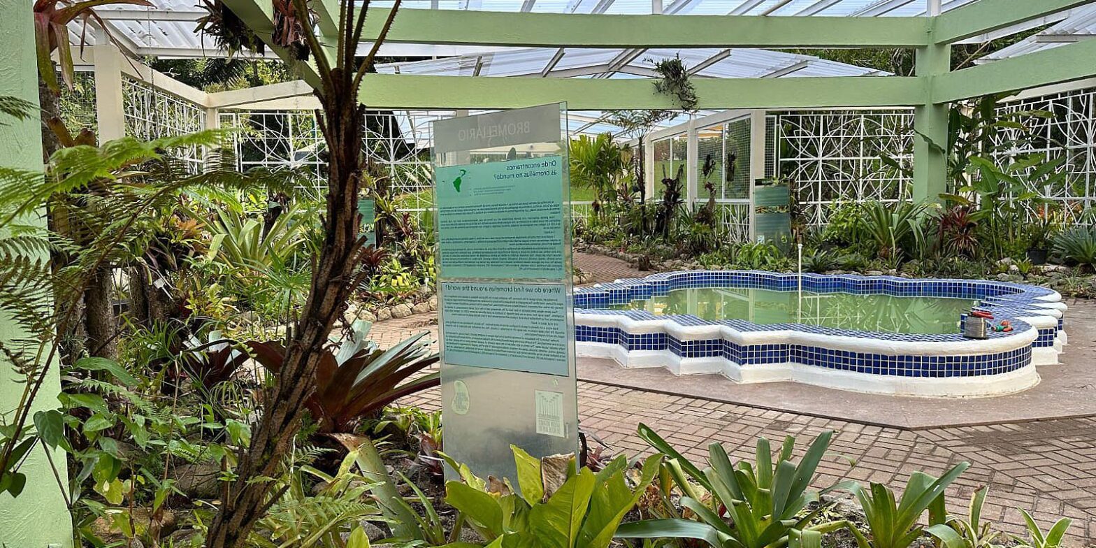 Jardim Botânico do Rio reabre bromeliário, após nove meses em obras