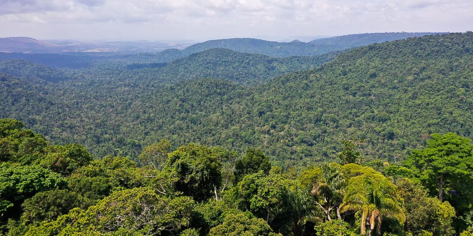 Agência Brasil explica: o que é Fundo Amazônia?