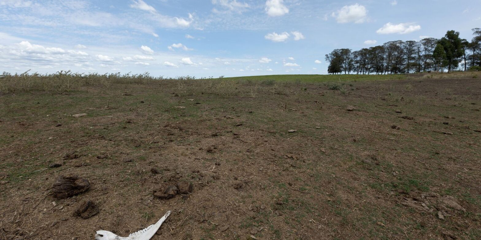Governo lança plataforma para identificar vulnerabilidades climáticas