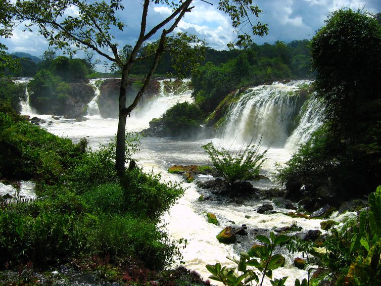 Rio Jari - MN Montanhas do Tumucumaque