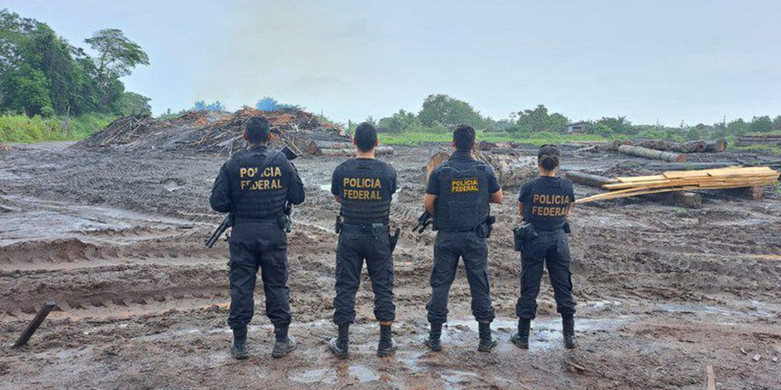 Polícia Federal e Ibama apreendem madeira ilegal no Pará