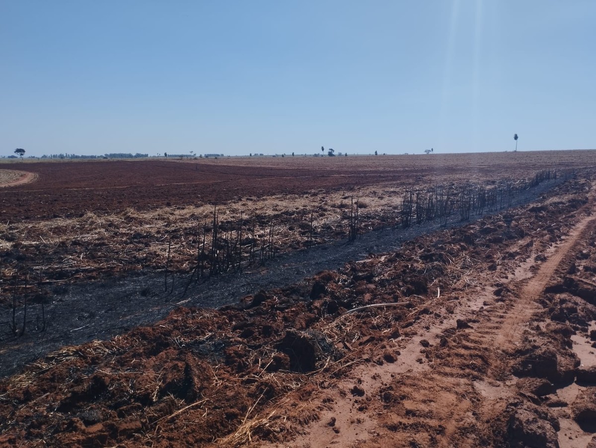 Empresa é autuada em R$ 12,7 mil por usar fogo de maneira irregular em área de 12,7 hectares, em Teodoro Sampaio