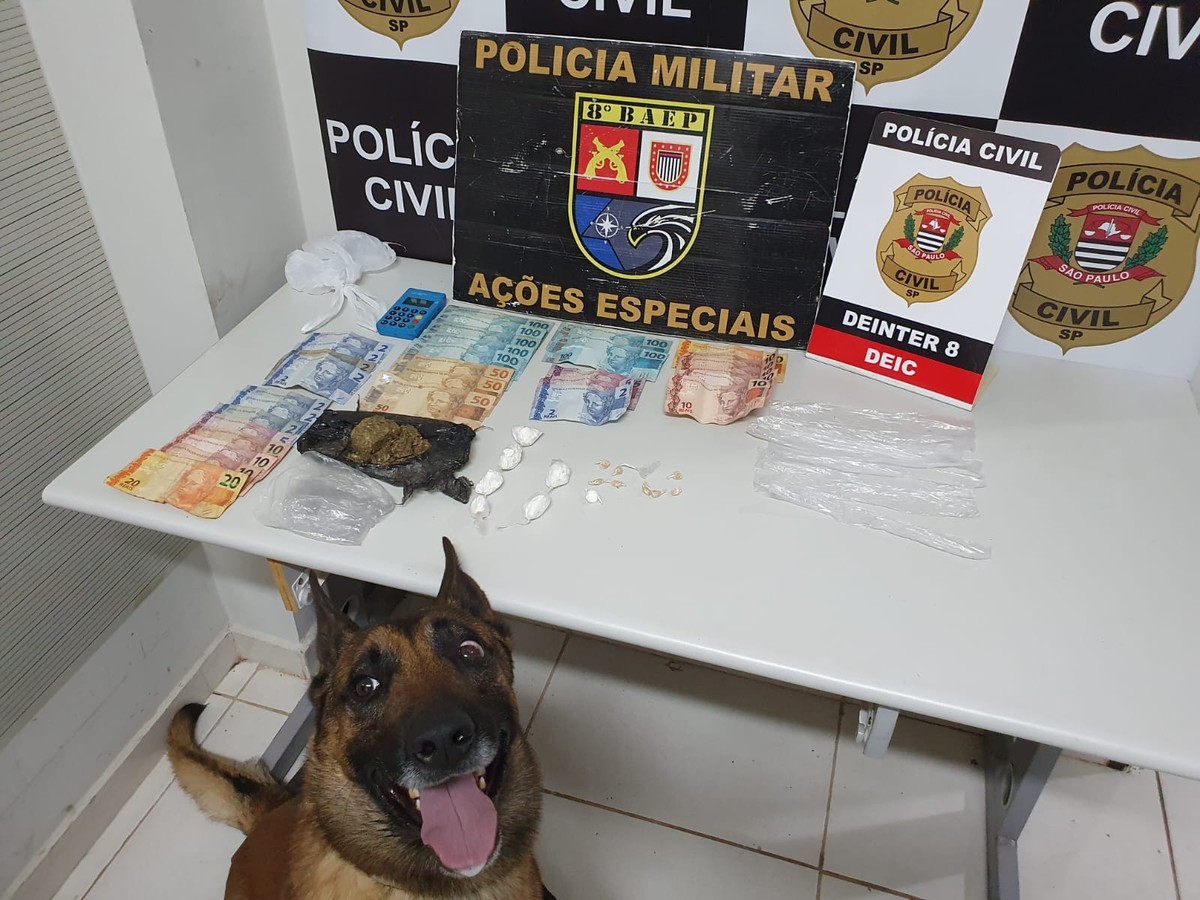 Com apoio de cão farejador, polícia prende três pessoas da mesma família por tráfico de drogas, em Presidente Prudente
