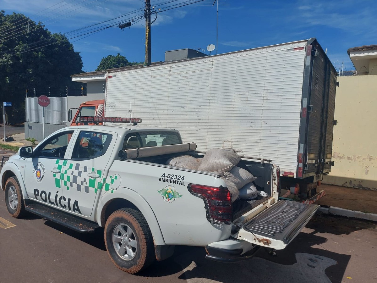 Polícia Ambiental apreende mais de 150kg de pó de xaxim e responsável leva multa de quase R$ 50 mil em Indiana