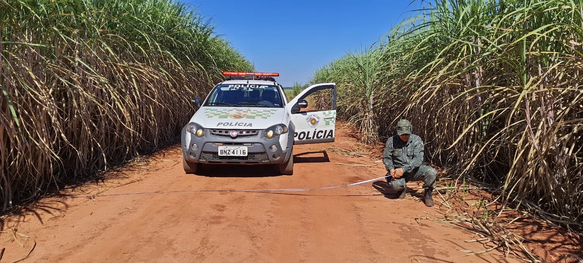 Operação Huracan registra irregularidades em aceiros de lavouras do Oeste Paulista