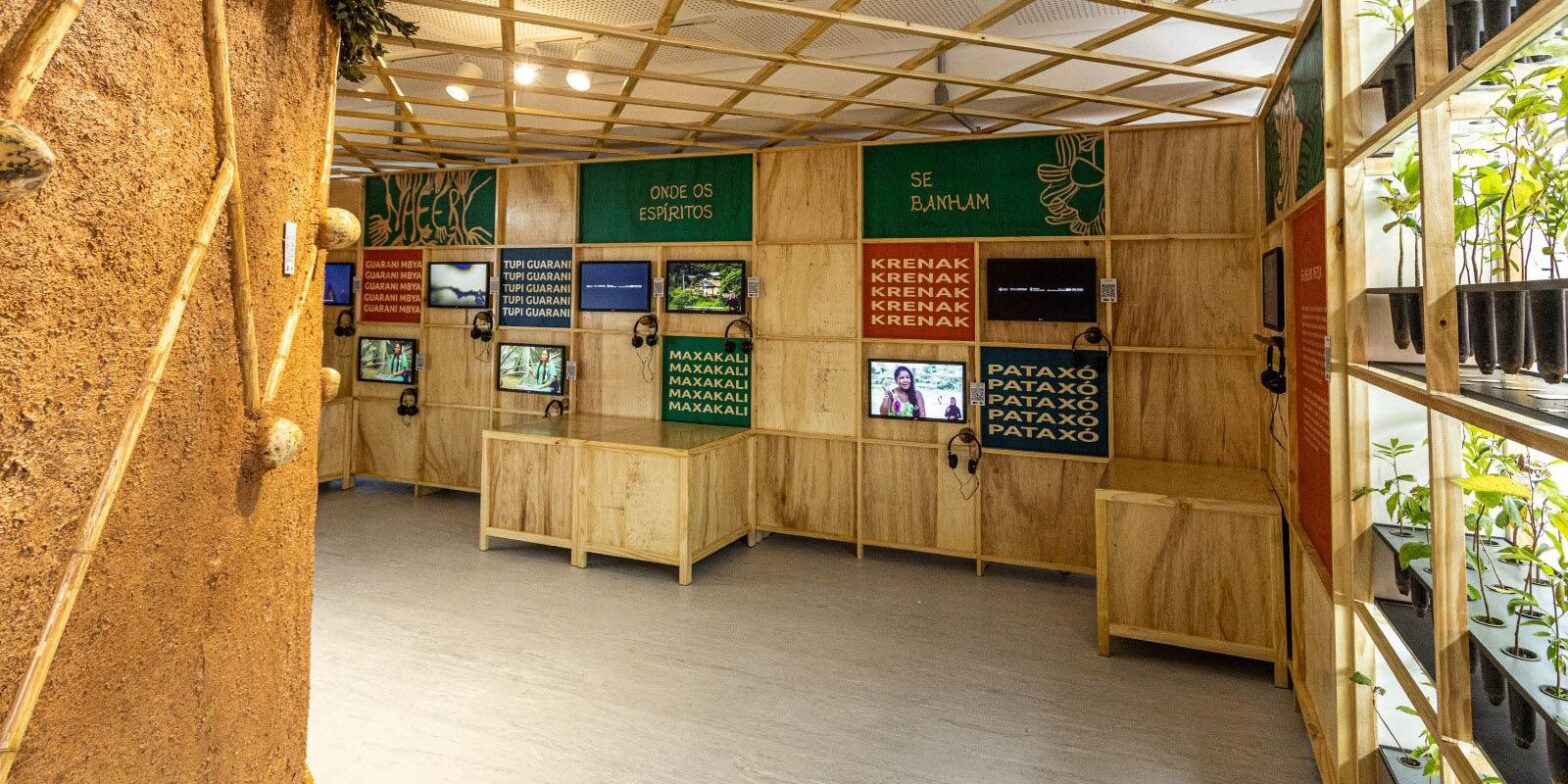 Exposição sensorial sobre a Mata Atlântica permite sentir a floresta